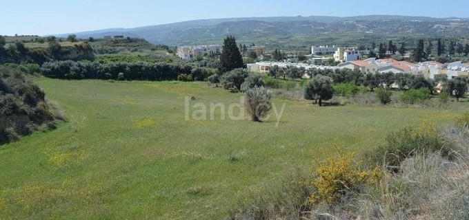 Residential field for sale in Paphos