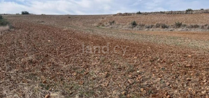 Terrain agricole à vendre à Nicosie