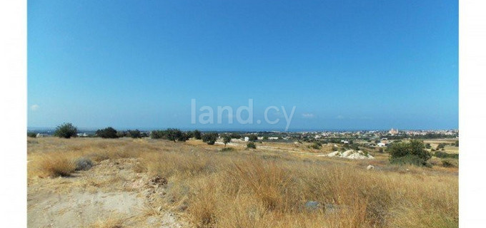 Terrain agricole à vendre à Limassol