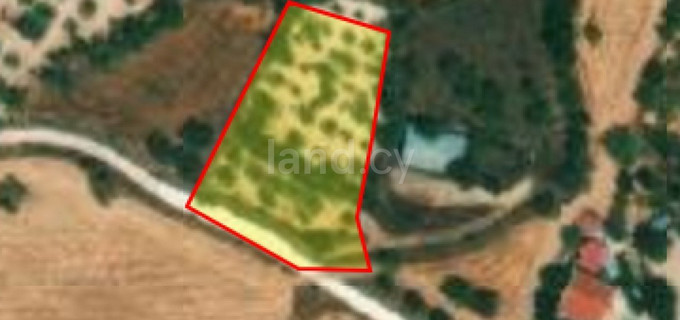 Wohngebiet in Paphos zu verkaufen