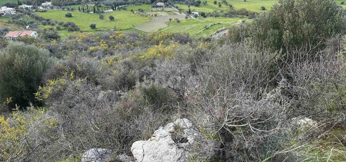 Agricultural field for sale in Paphos