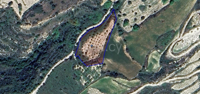 Campo residencial a la venta en Paphos
