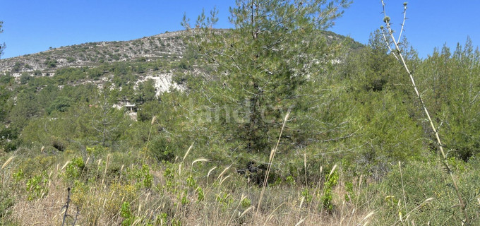 Residential field for sale in Limassol