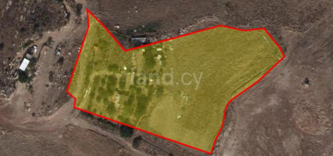 Agricultural field for sale in Paphos