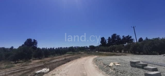 Agricultural field for sale in Limassol