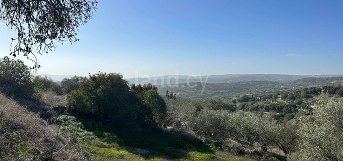 Residential field for sale in Paphos