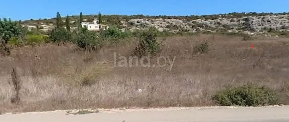 Commercial field for sale in Paphos
