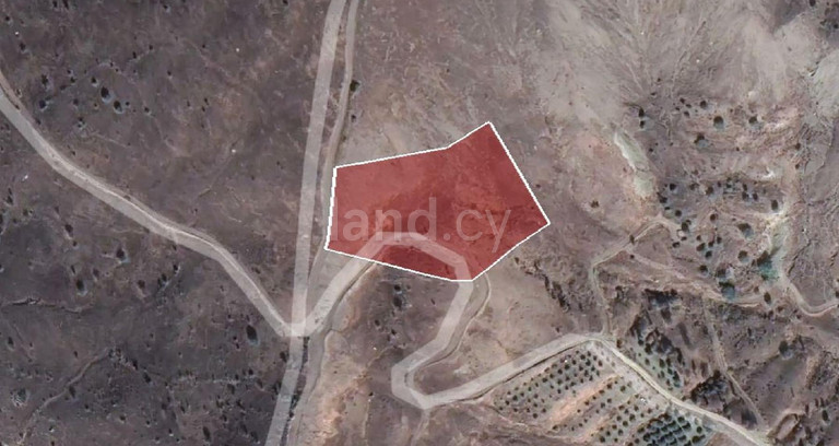 Agricultural field for sale in Paphos