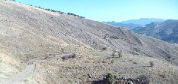 Agricultural field for sale in Paphos