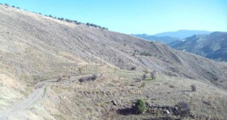 Agricultural field for sale in Paphos