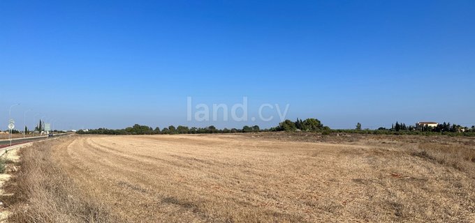 Agricultural field for sale in Frenaros