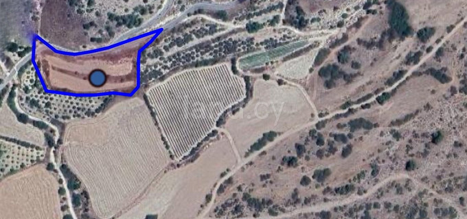 Agricultural field for sale in Paphos