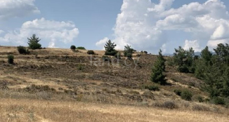 Agricultural field for sale in Nicosia