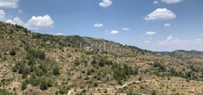 Agricultural field for sale in Nicosia