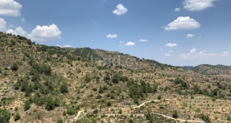 Αγροτικό αγροτεμάχιο προς πώληση - Λευκωσία