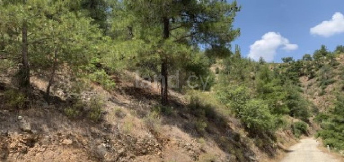 Agricultural field for sale in Nicosia