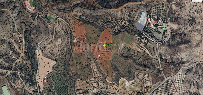 Parcela agrícola a la venta en Larnaca