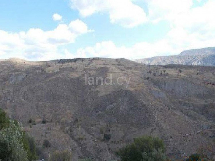 Terrain agricole à vendre à Paphos