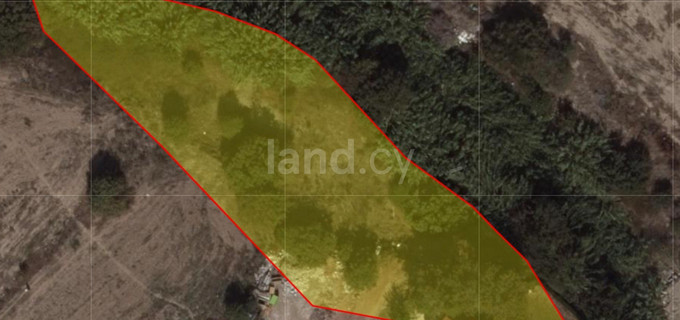 Residential field for sale in Paphos