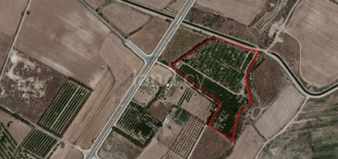 Landwirtschaftliches Baugebiet in Paphos zu verkaufen