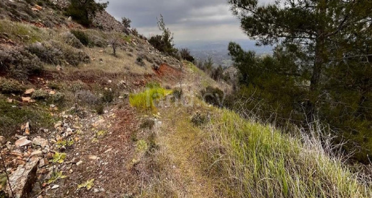 Сельскохозяйственное поле на продажу в Никосия