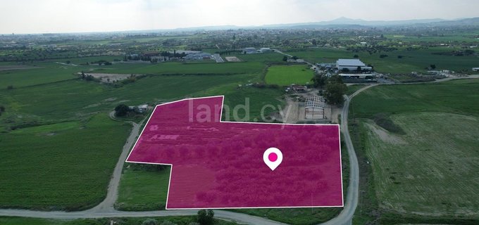 Campo a la venta en Larnaca