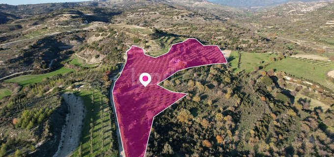 Field for sale in Paphos