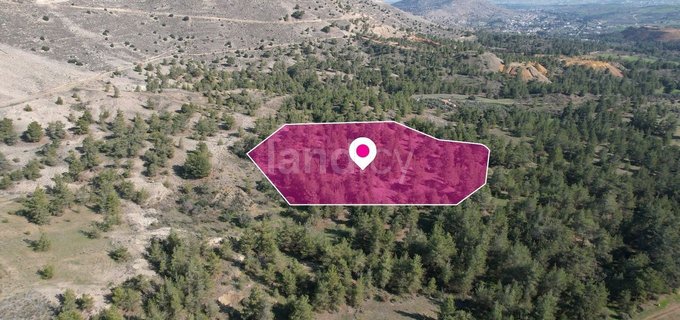 Field for sale in Nicosia