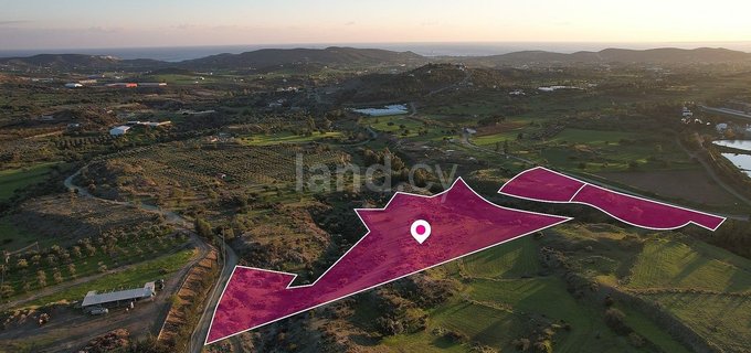 Field for sale in Limassol