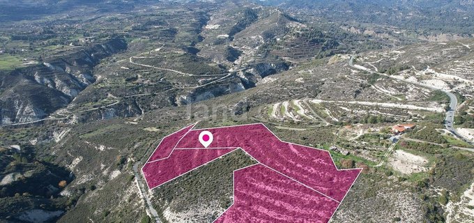 Field for sale in Limassol