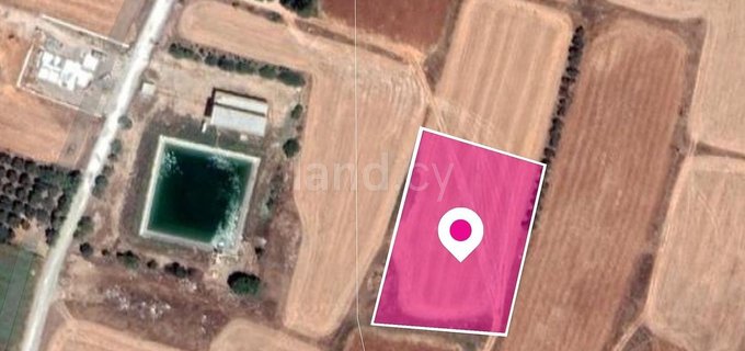 Field for sale in Larnaca