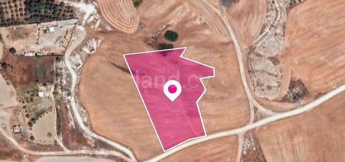 Field for sale in Nicosia