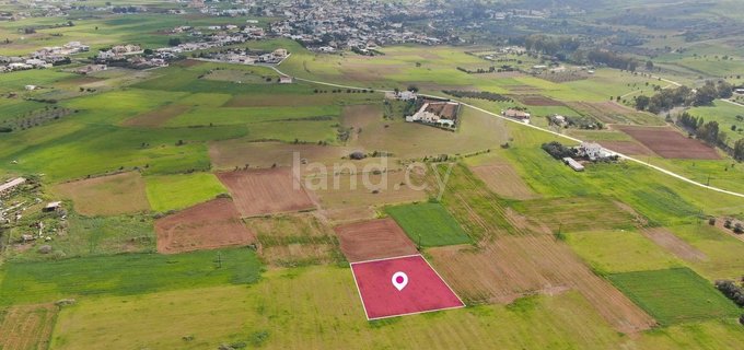 Field for sale in Nicosia