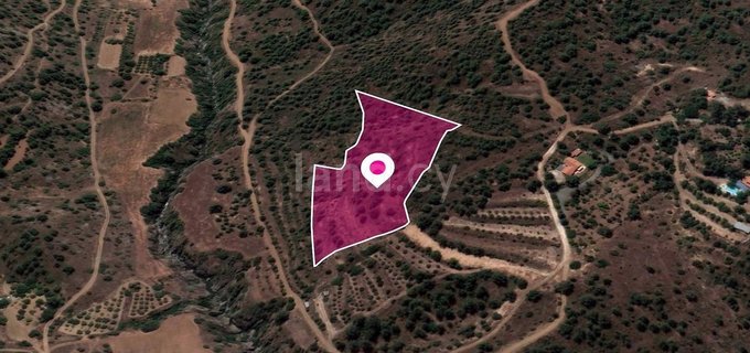 Field for sale in Nicosia