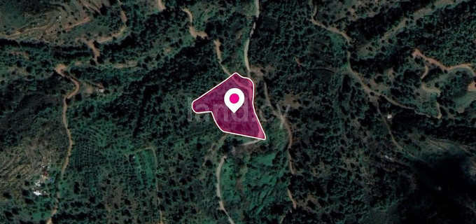 Field for sale in Nicosia