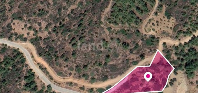 Field for sale in Paphos