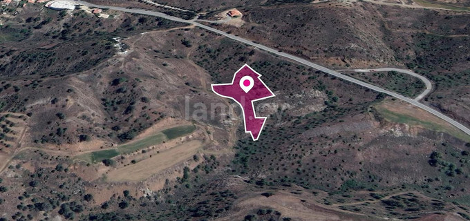 Field for sale in Nicosia