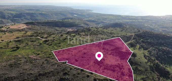 Field for sale in Paphos