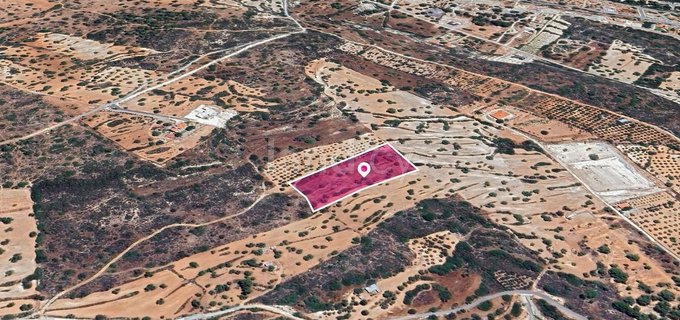 Field for sale in Limassol