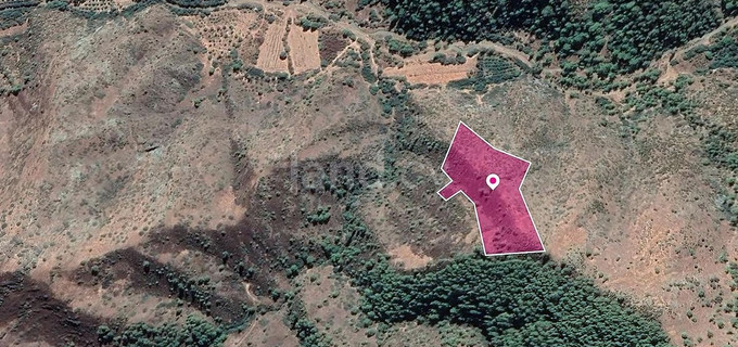 Campo a la venta en Nicosia
