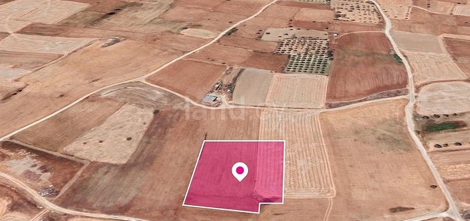 Field for sale in Nicosia