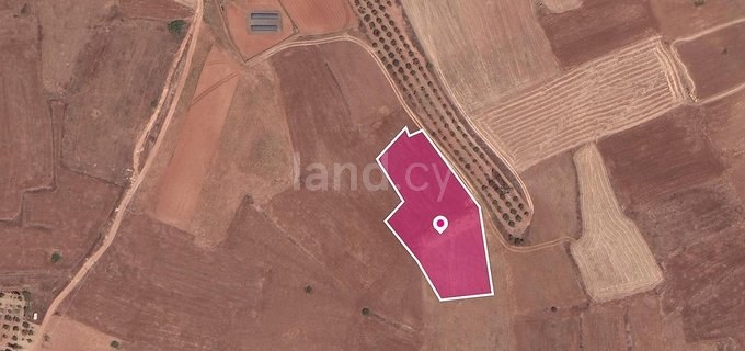 Field for sale in Nicosia