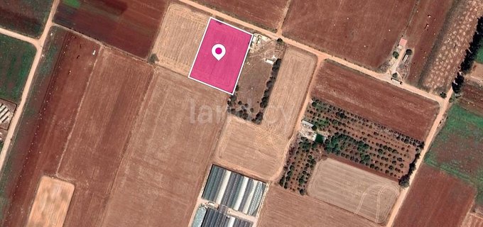 Field for sale in Larnaca