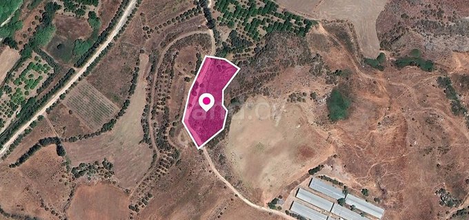 Field for sale in Paphos