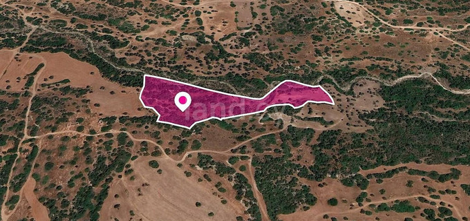 Field for sale in Paphos