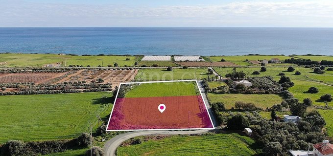 Field for sale in Larnaca