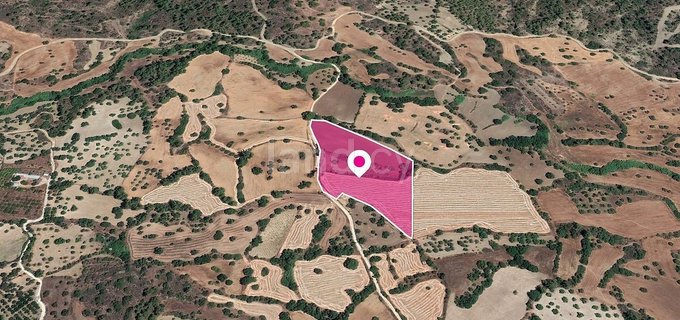 Field for sale in Paphos