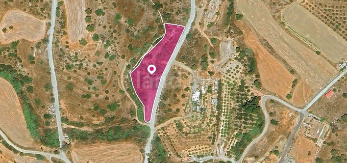 Field for sale in Limassol