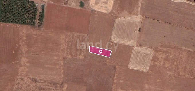 Field for sale in Nicosia