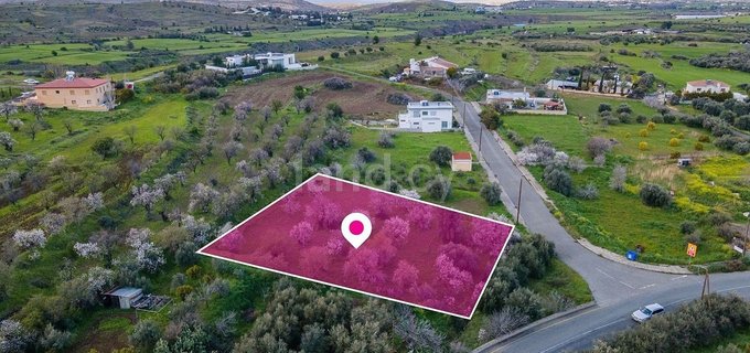 Field for sale in Nicosia